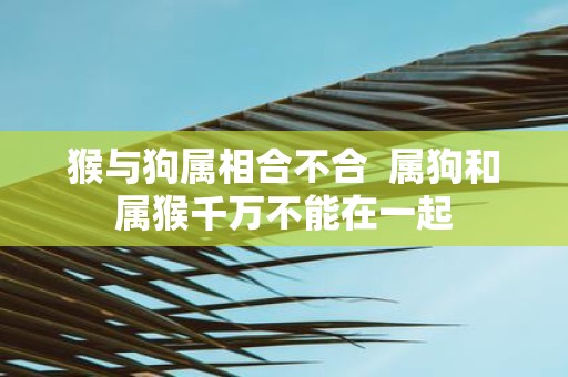 猴与狗属相合不合 属狗和属猴千万不能在一起