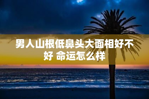 男人山根低鼻头大面相好不好 命运怎么样
