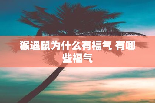 猴遇鼠为什么有福气 有哪些福气