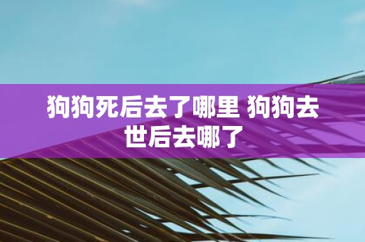 狗狗死后去了哪里 狗狗去世后去哪了