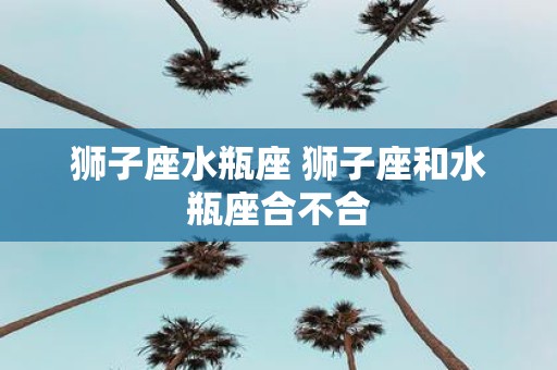 狮子座水瓶座 狮子座和水瓶座合不合