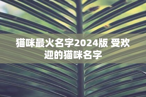 猫咪最火名字2025版 受欢迎的猫咪名字