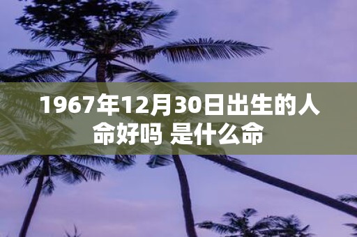 1967年12月30日出生的人命好吗 是什么命