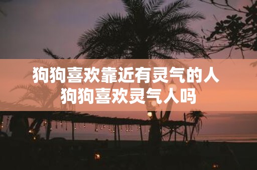 狗狗喜欢靠近有灵气的人 狗狗喜欢灵气人吗