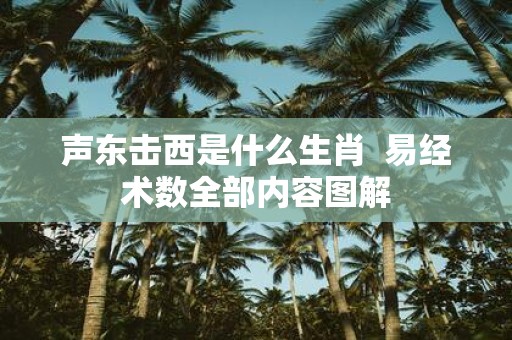 声东击西是什么生肖 易经术数全部内容图解