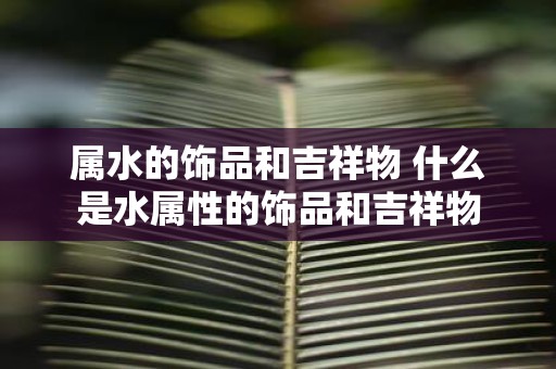 属水的饰品和吉祥物 什么是水属性的饰品和吉祥物