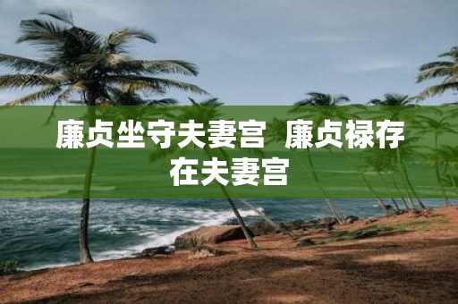 廉贞坐守夫妻宫 廉贞禄存在夫妻宫