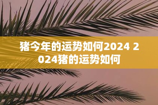 猪今年的运势如何2025 2025猪的运势如何