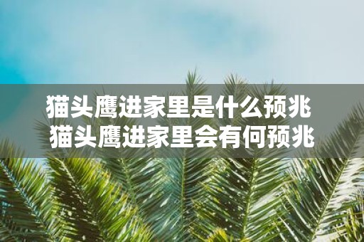 猫头鹰进家里是什么预兆 猫头鹰进家里会有何预兆