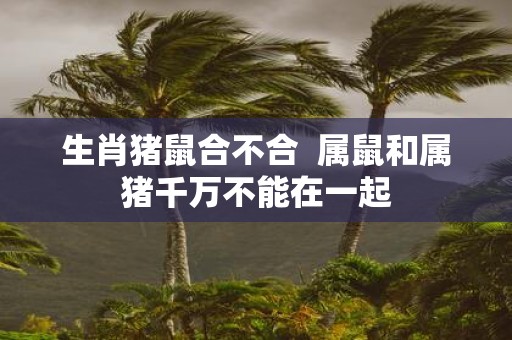 生肖猪鼠合不合 属鼠和属猪千万不能在一起