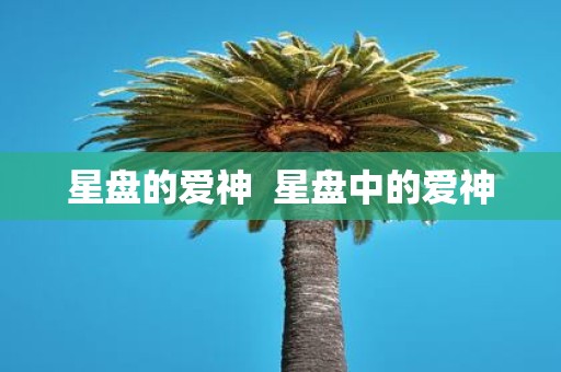 星盘的爱神 星盘中的爱神