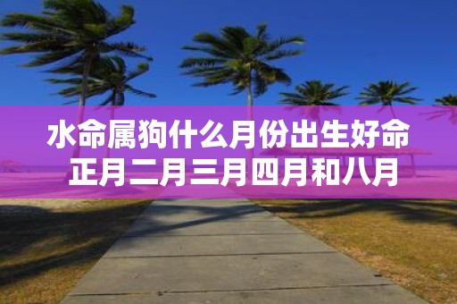 水命属狗什么月份出生好命 正月二月三月四月和八月