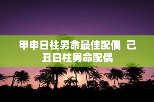 甲申日柱男命最佳配偶 己丑日柱男命配偶