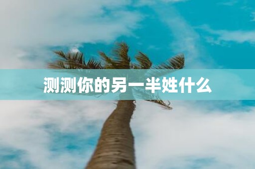 测测你的另一半姓什么