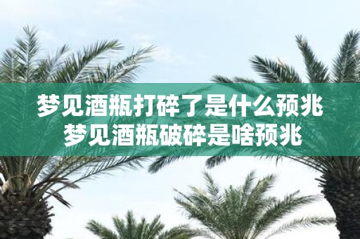 梦见酒瓶打碎了是什么预兆 梦见酒瓶破碎是啥预兆