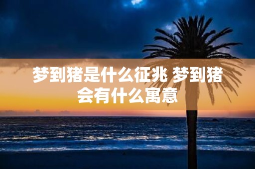 梦到猪是什么征兆 梦到猪会有什么寓意