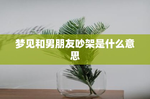 梦见和男朋友吵架是什么意思