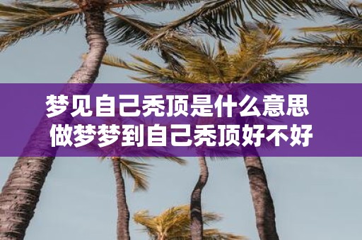 梦见自己秃顶是什么意思 做梦梦到自己秃顶好不好