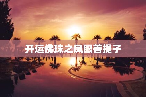 开运佛珠之凤眼菩提子