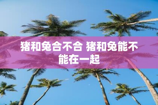 猪和兔合不合 猪和兔能不能在一起