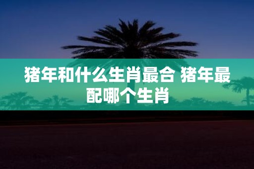 猪年和什么生肖最合 猪年最配哪个生肖