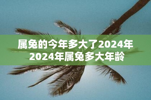 属兔的今年多大了2025年 2025年属兔多大年龄
