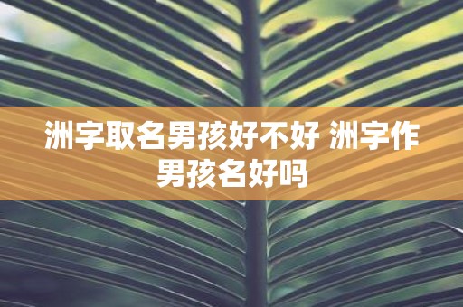 洲字取名男孩好不好 洲字作男孩名好吗