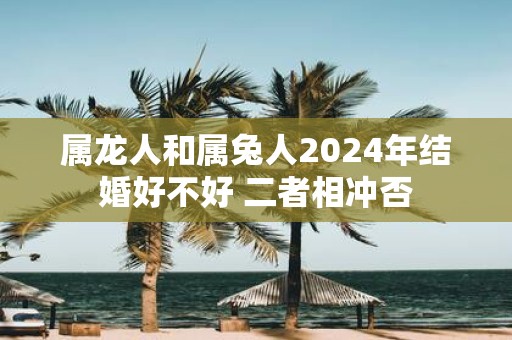 属龙人和属兔人2025年结婚好不好 二者相冲否