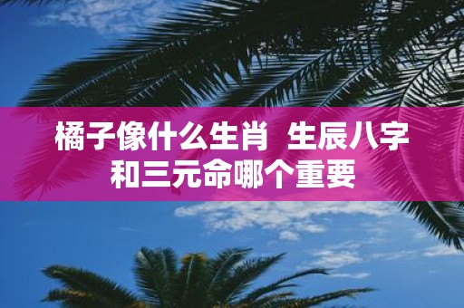 橘子像什么生肖 生辰八字和三元命哪个重要