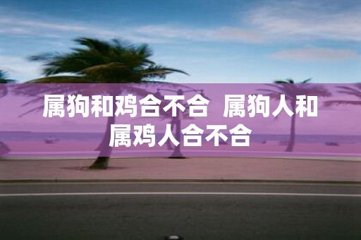 属狗和鸡合不合 属狗人和属鸡人合不合