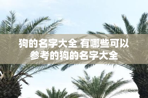 狗的名字大全 有哪些可以参考的狗的名字大全