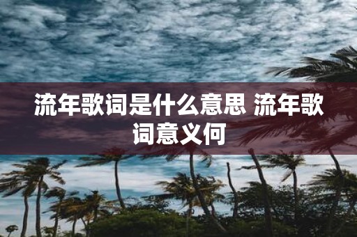 流年歌词是什么意思 流年歌词意义何