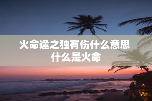 火命逢之独有伤什么意思 什么是火命