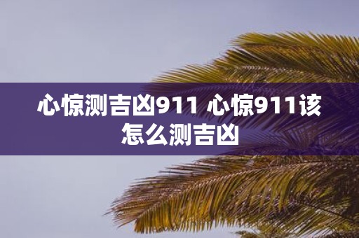 心惊测吉凶911 心惊911该怎么测吉凶