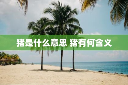 猪是什么意思 猪有何含义