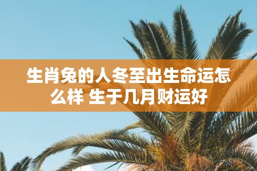 生肖兔的人冬至出生命运怎么样 生于几月财运好