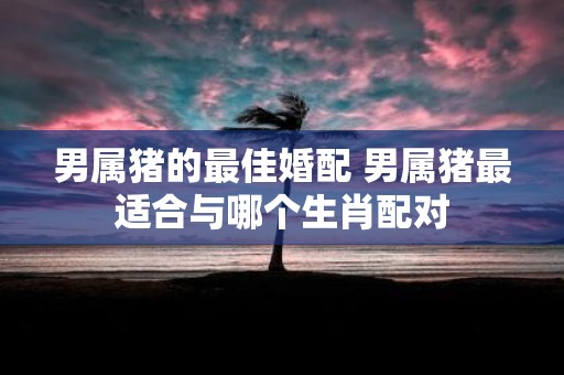 男属猪的最佳婚配 男属猪最适合与哪个生肖配对