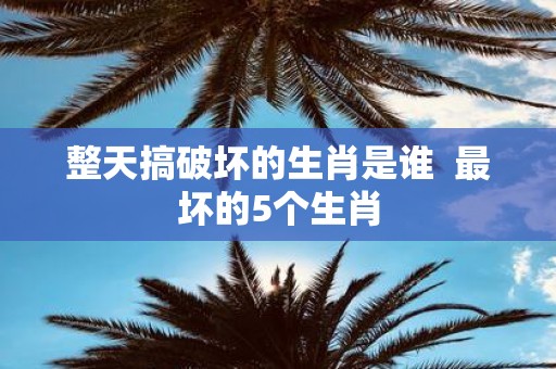 整天搞破坏的生肖是谁 最坏的5个生肖