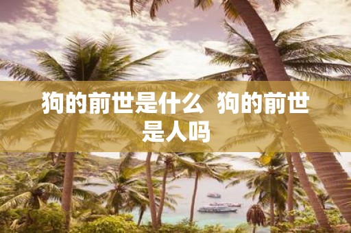 狗的前世是什么 狗的前世是人吗
