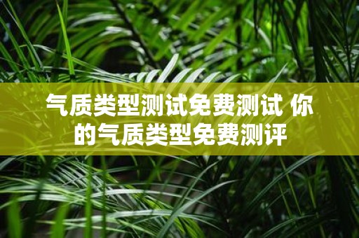 气质类型测试免费测试 你的气质类型免费测评