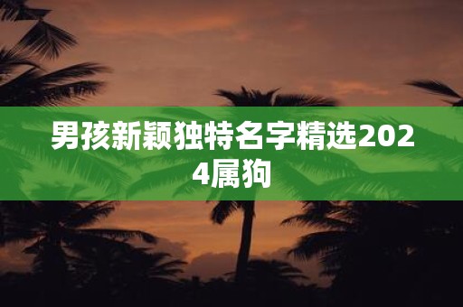男孩新颖独特名字精选2025属狗