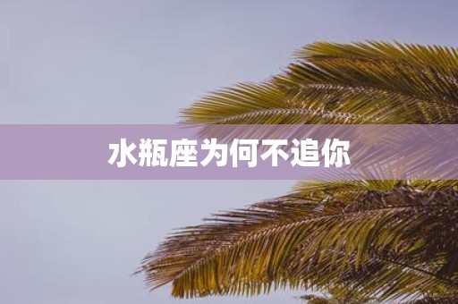 水瓶座为何不追你