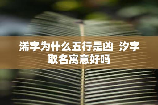 浠字为什么五行是凶 汐字取名寓意好吗 浠字为什么五行是凶 汐字取名寓意好吗