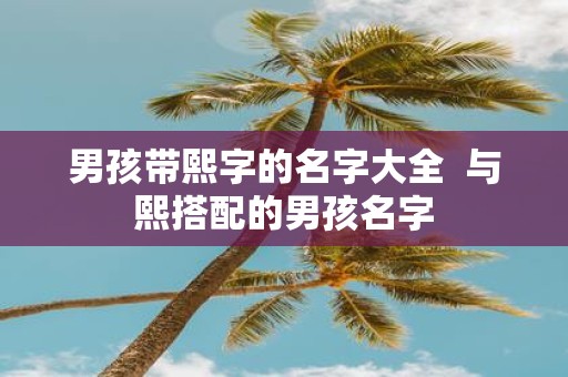 男孩带熙字的名字大全 与熙搭配的男孩名字