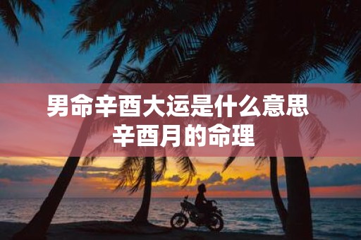 男命辛酉大运是什么意思 辛酉月的命理