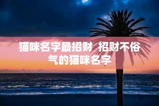 猫咪名字最招财 招财不俗气的猫咪名字