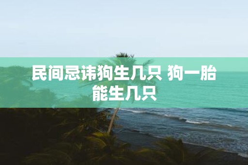 民间忌讳狗生几只 狗一胎能生几只