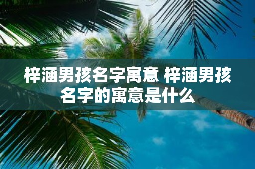 梓涵男孩名字寓意 梓涵男孩名字的寓意是什么