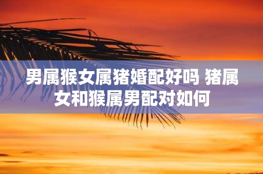 男属猴女属猪婚配好吗 猪属女和猴属男配对如何