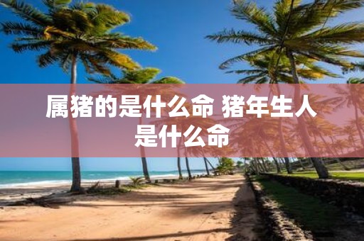 属猪的是什么命 猪年生人是什么命